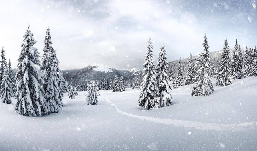 Winter Photograph - Fantastic Winter Landscape With Snowy #7 by Ivan Kmit