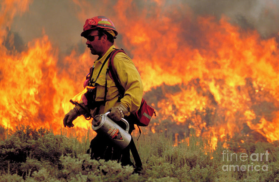 United States Photograph - Firefighter #7 by Kari Greer/science Photo Library