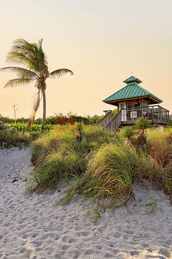 Florida, Boca Raton, Lifeguard Tower With Palm Tree At The Beach #7 Digital Art by Laura Diez