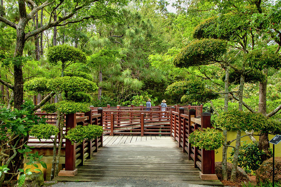 Florida, South Florida, Delray Beach, Morikami Japanese Gardens #7 Digital Art by Lumiere