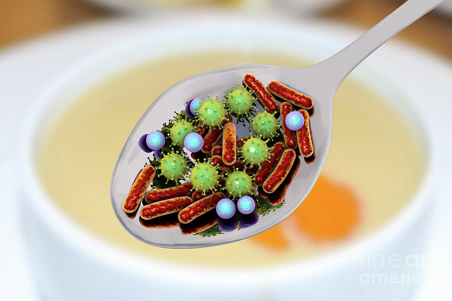 3 Dimensional Photograph - Foodborne Infection #7 by Kateryna Kon/science Photo Library