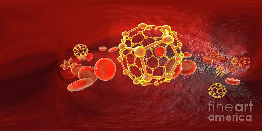 Fullerene Nanoparticles In Blood #7 Photograph by Kateryna Kon/science Photo Library
