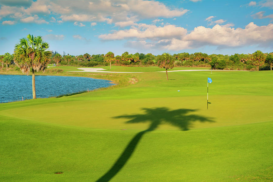 Golf Course In Boca Raton Florida #7 Digital Art by Laura Zeid