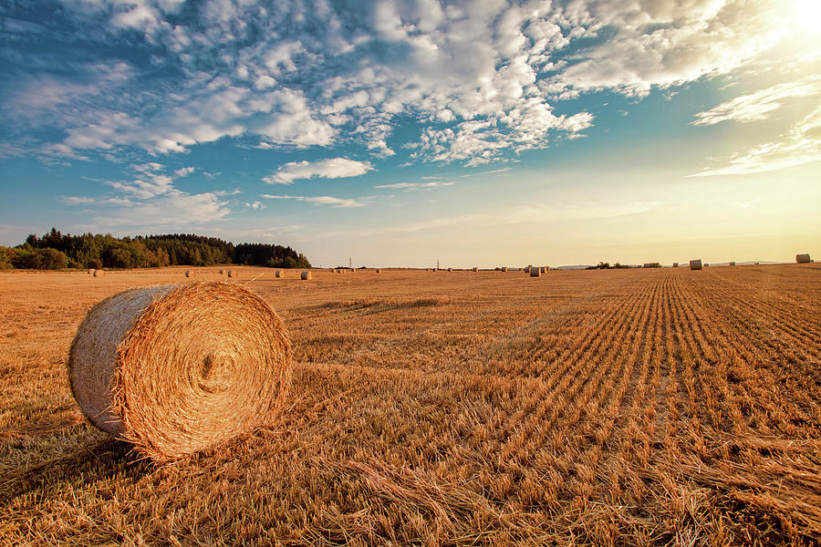 Harvested Field With Straw Bales In Summer Photograph by Artush Foto ...