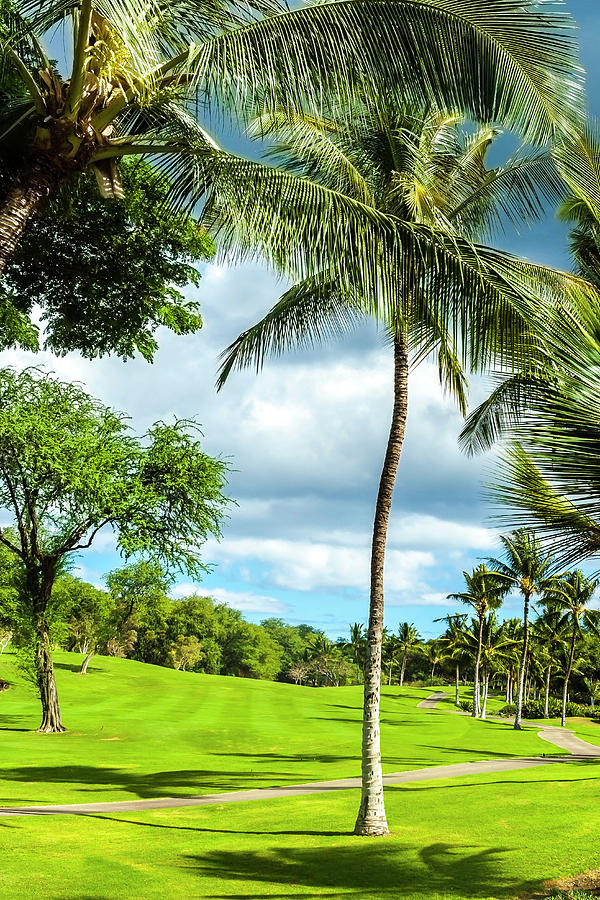 Hawaii, Maui Golf Course #7 Digital Art by Grant Studios