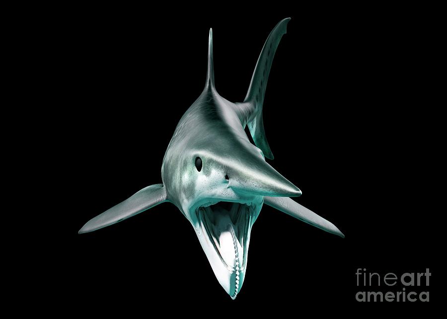 Helicoprion Prehistoric Fish #7 Photograph by Hypersphere/science Photo Library