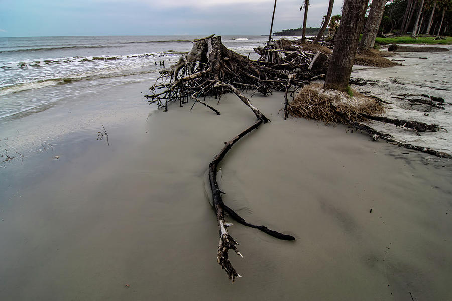 Hunting Island South Carolina Beach Scenes #7 Photograph by Alex Grichenko