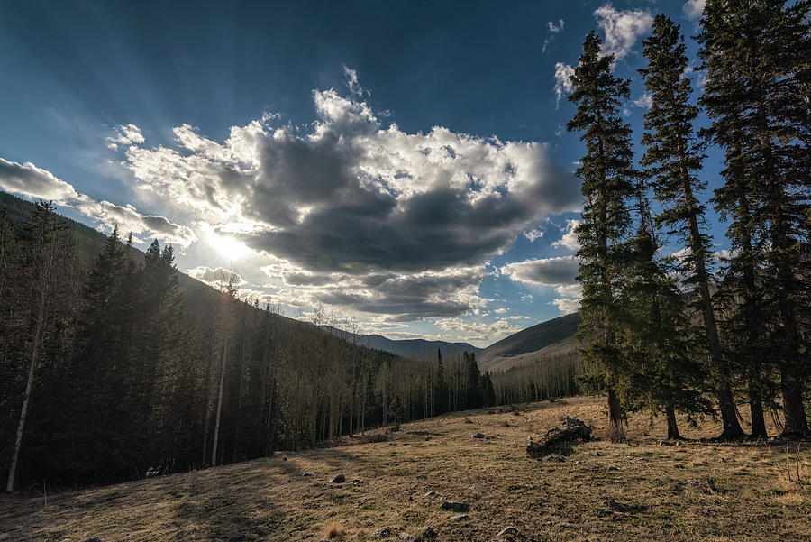 Sunset Photograph - Landscape In The Pecos Wilderness #7 by Cavan Images