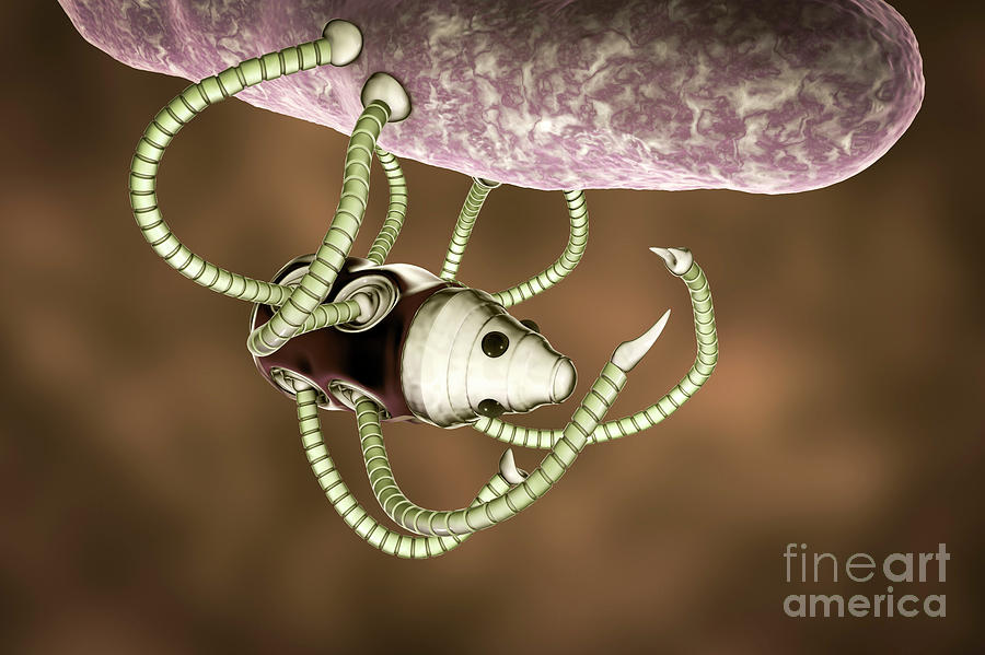 Medical Nanorobot Fighting With Bacterium Photograph By Kateryna Kon ...