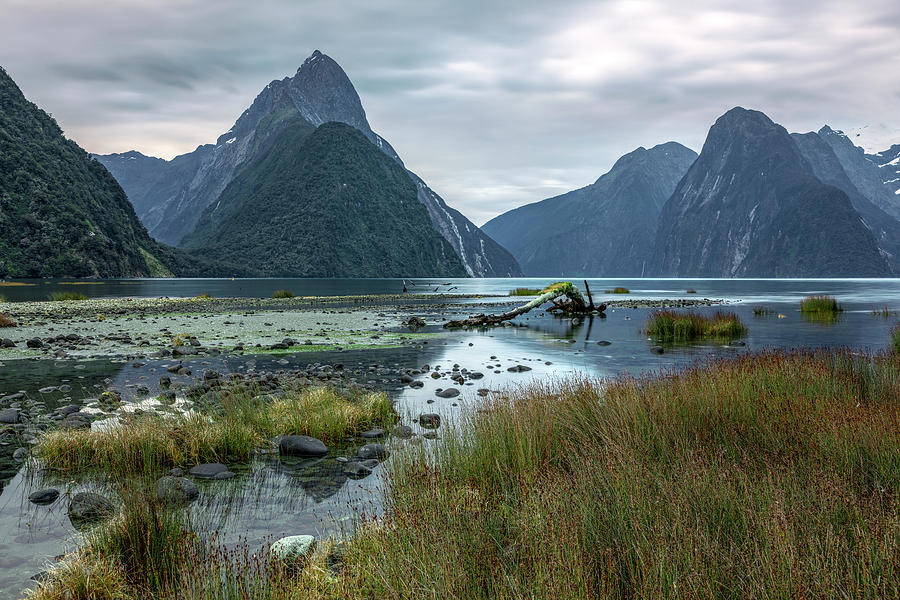 Milford Sound Photograph - Milford Sound - New Zealand #7 by Joana Kruse