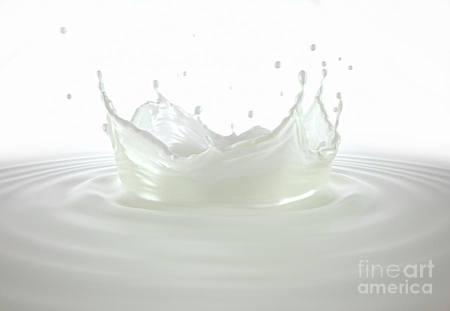 Milk Crown Splash With Ripples Photograph By Leonello Calvetti Science Photo Library Fine Art