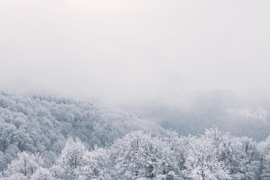 Minimalistic Winter Landscape In Cloudy #7 Photograph By Ivan Kmit 