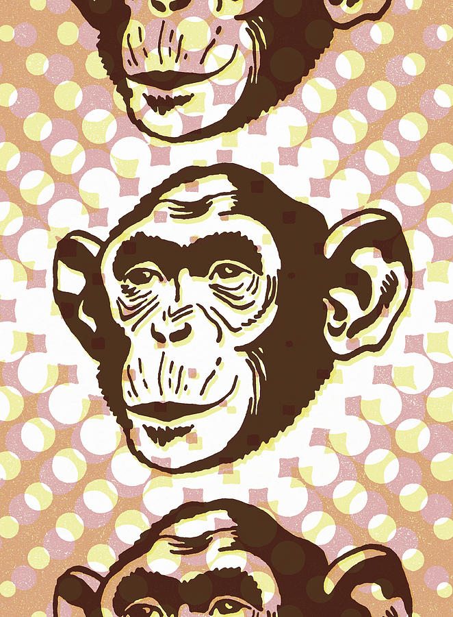 Vintage Drawing - Monkey #7 by CSA Images