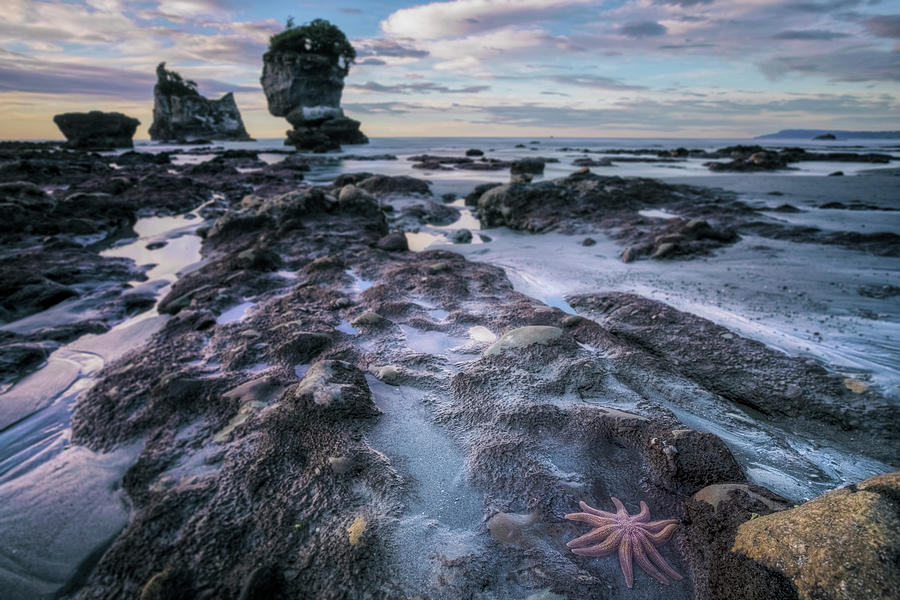 Motukiekie Beach - New Zealand #7 Photograph by Joana Kruse