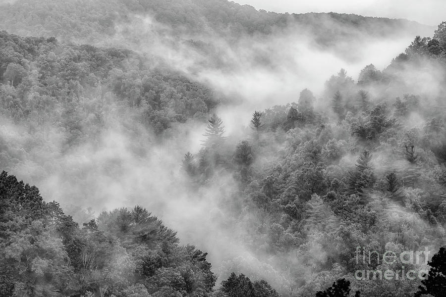 Mountain Mist #7 Photograph by Thomas R Fletcher