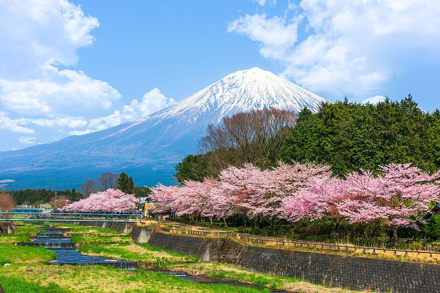 Mt. Fuji Viewed From Rural Shizuoka Photograph by Sean Pavone - Fine ...