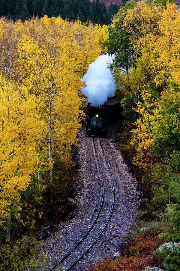 New Mexico, Usa - Cumbres & Toltec #7 Photograph by Panoramic Images