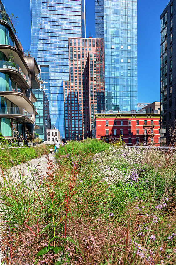 Architecture Digital Art - New York City, Manhattan, High Line Elevated Park #7 by Lumiere