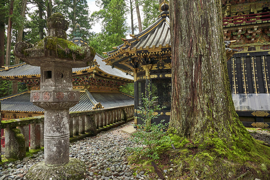 Nikko Toshogu Shrine Temple In Nikko At Spring Japan 7 Photograph By