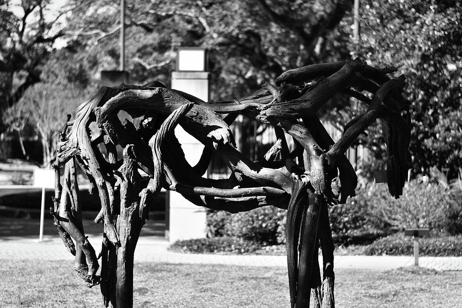 NOMA Sculpture Garden #7 Photograph by Chambre Noire Design Studio