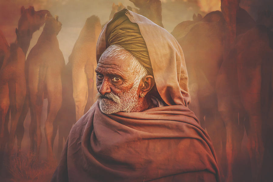 Pushkar Photograph - Old Rajasthani Man #7 by Svetlin Yosifov