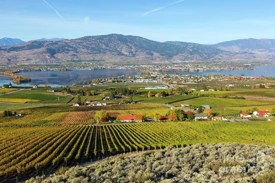 Osoyoos British Columbia Canada Photograph by Kevin Miller