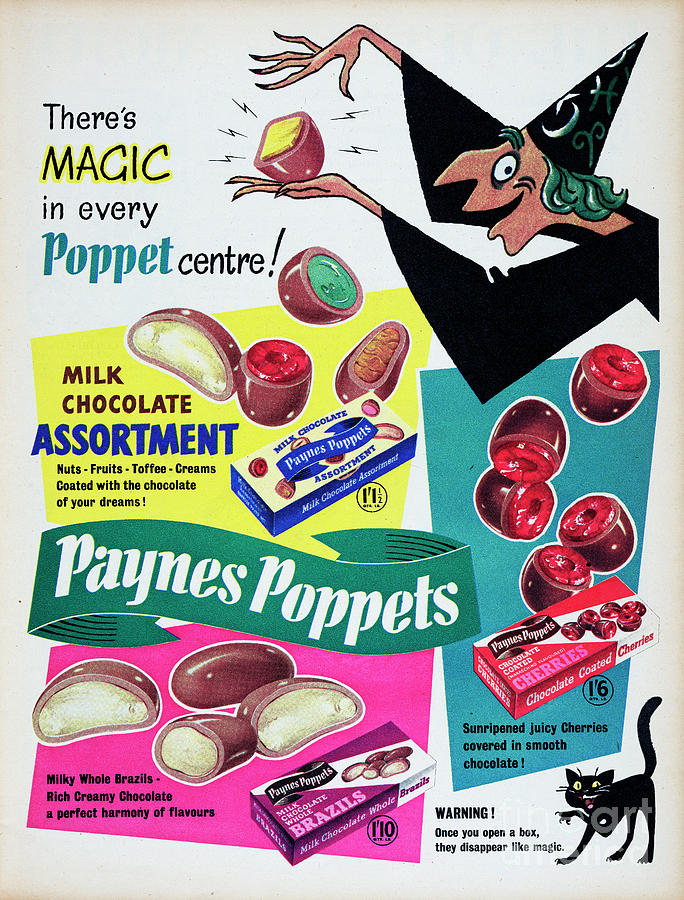 Paynes Poppets #7 Photograph by Picture Post