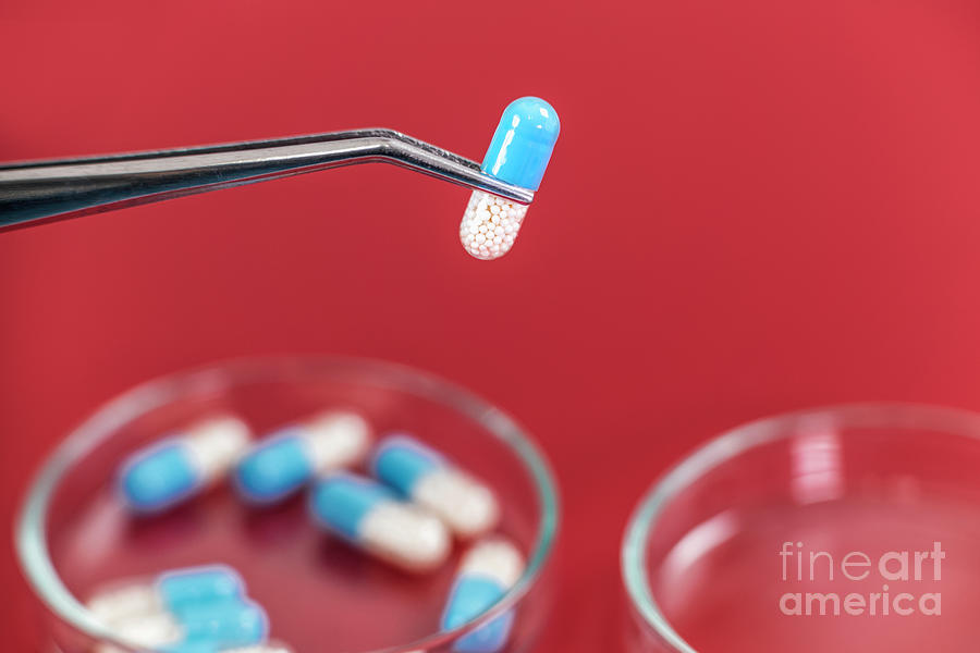 Pharmaceutical Research #7 Photograph by Microgen Images/science Photo Library