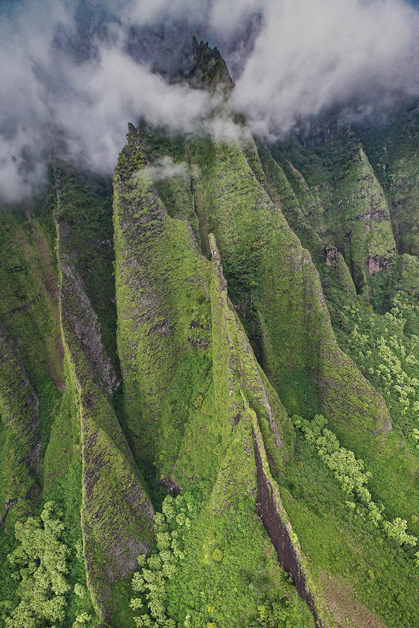 private kauai use discount code SGVVMT at checkout #7 Photograph by Steven Lapkin