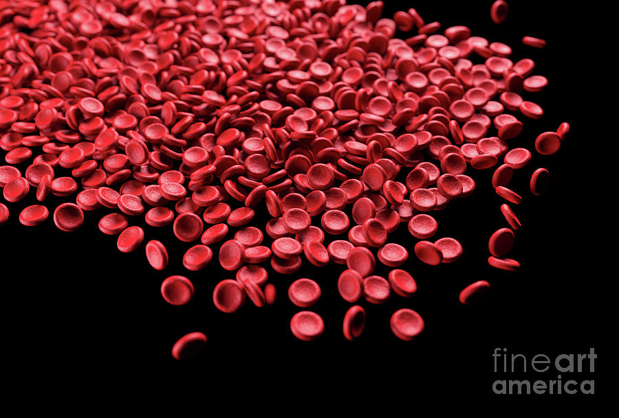 Red Blood Cells #7 Photograph by Ktsdesign/science Photo Library