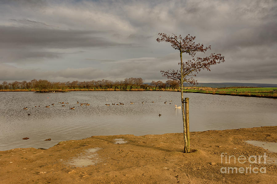 Redcar Tarn In Keighley Photograph