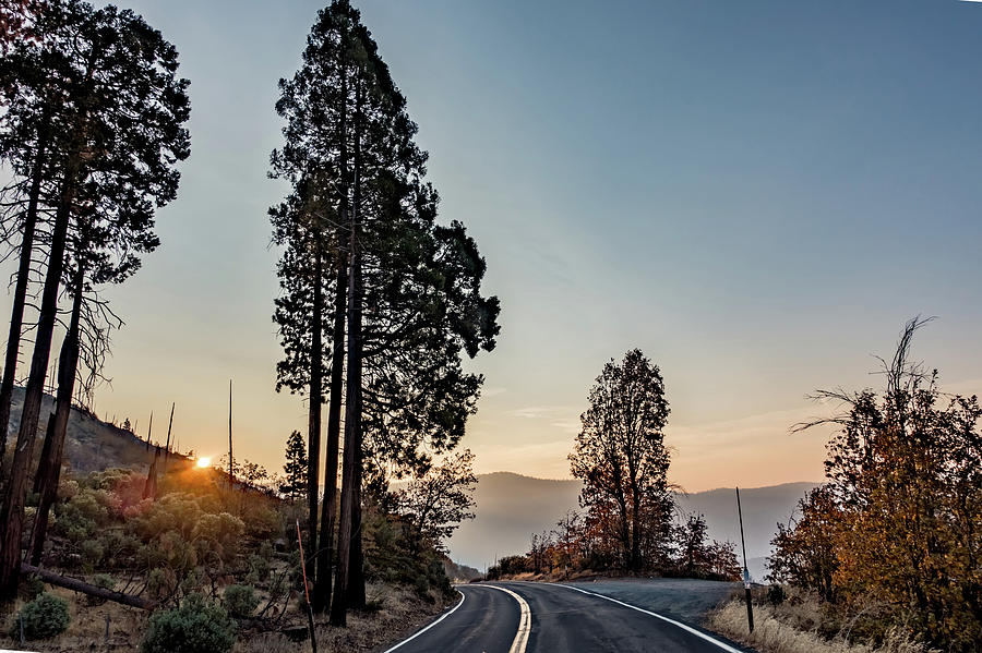 Road Through Yosemite National Park Early Morning #7 Photograph by Alex Grichenko