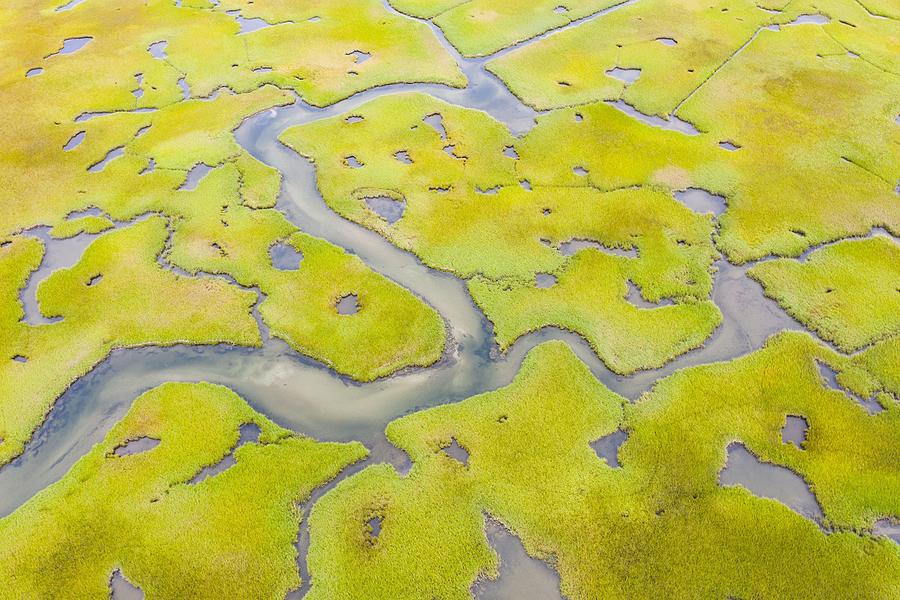 Nature Photograph - Salt Marshes And Estuaries Are Found #7 by Ethan Daniels
