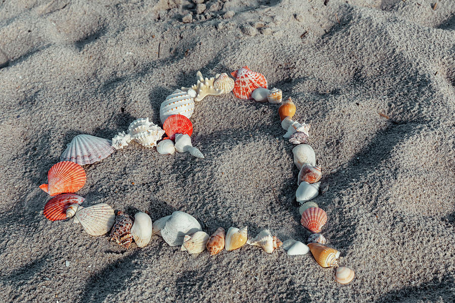 Seashells Arranged In Heart Shape On Beach #7 Digital Art by Claudia Uripos