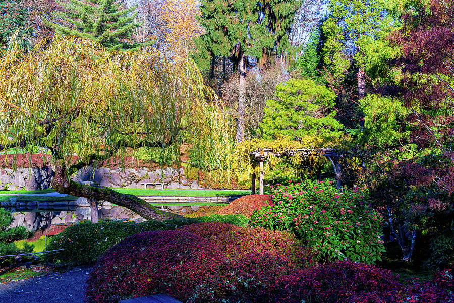 Seattle Japanese Garden #6 Digital Art by Michael Lee