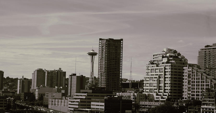 Seattle Skyline 25 Photograph by Cathy Anderson