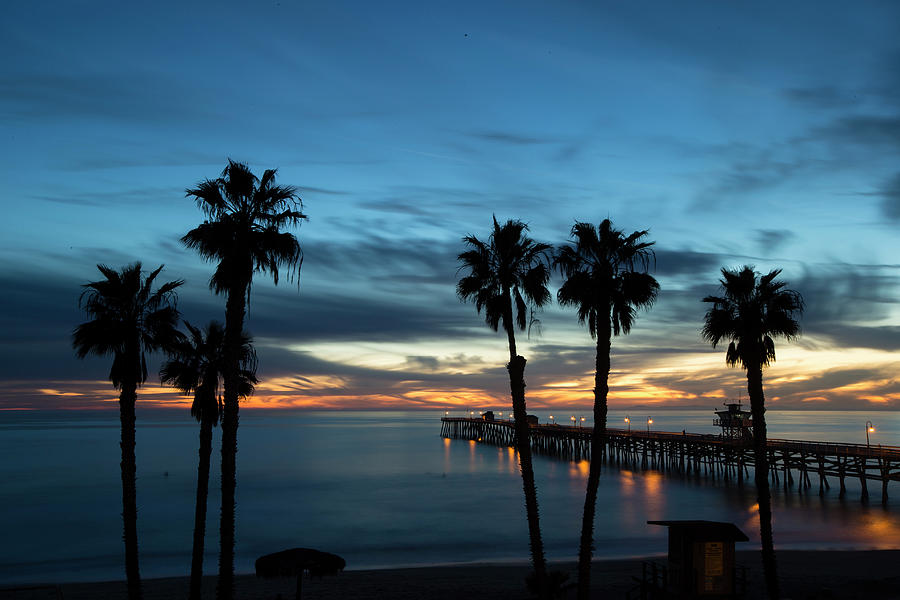 Silhouette Of Palm Trees On The Beach #7 Photograph by Panoramic Images