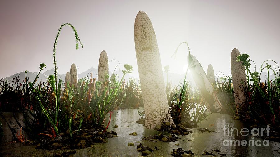 Silurian Plants Photograph By Richard Jones Science Photo Library   7 Silurian Plants Richard Jonesscience Photo Library 