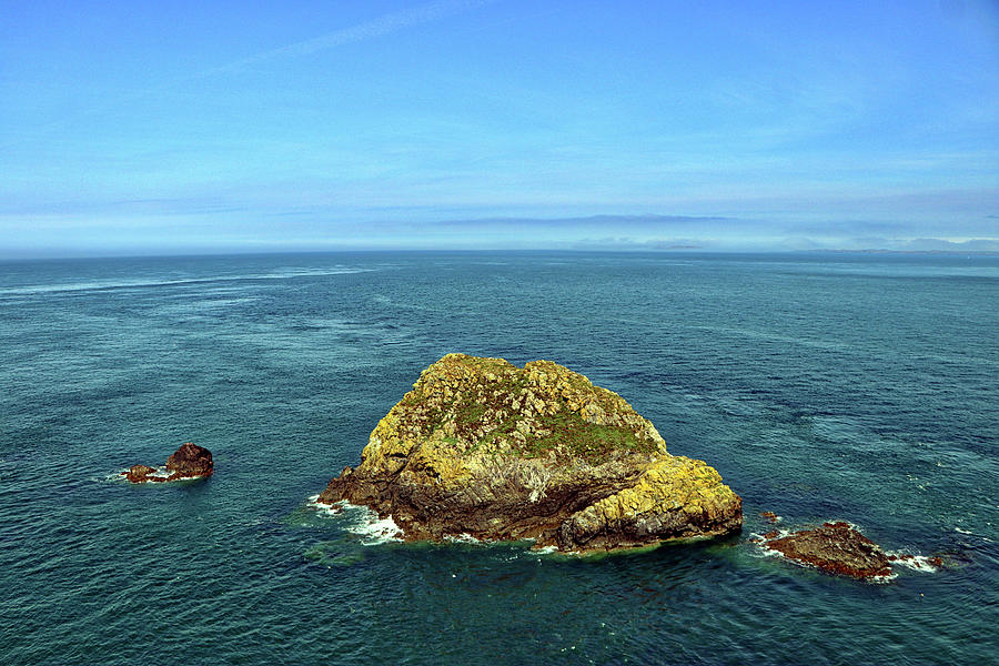 Skomer Island Wales United Kingdom Photograph by Paul James Bannerman Skomer Island Wales United Kingdom Photograph by Paul James Bannerman