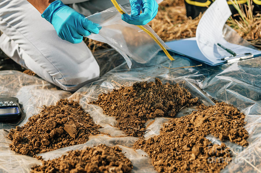 Soil Scientist Taking Soil Sample Photograph By Microgen Images science Photo Library Pixels