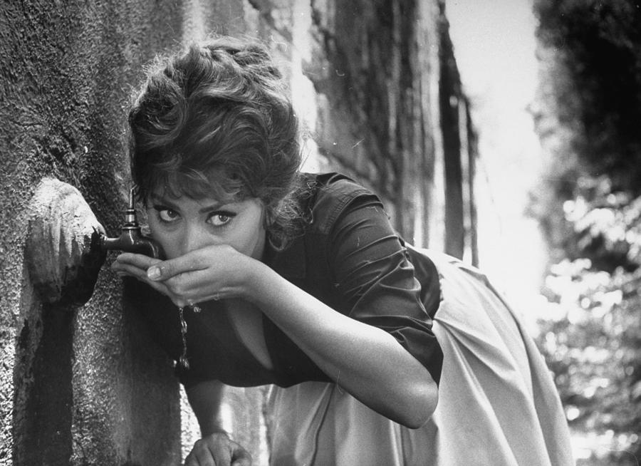 Sophia Loren Photograph by Alfred Eisenstaedt Sophia Loren Photograph by Alfred Eisenstaedt