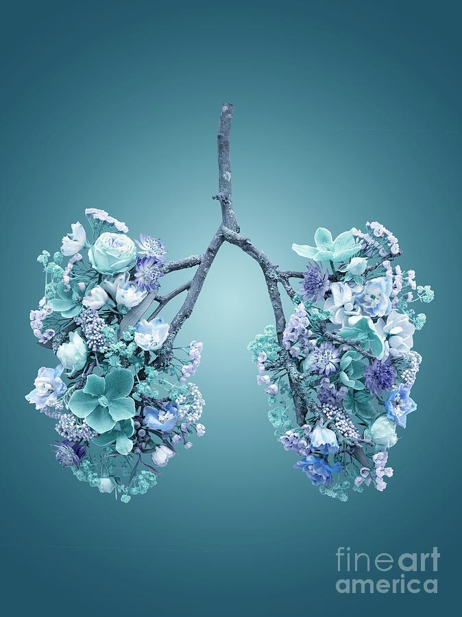 Spring Flowers Representing Human Lungs #7 Photograph by Science Photo Library