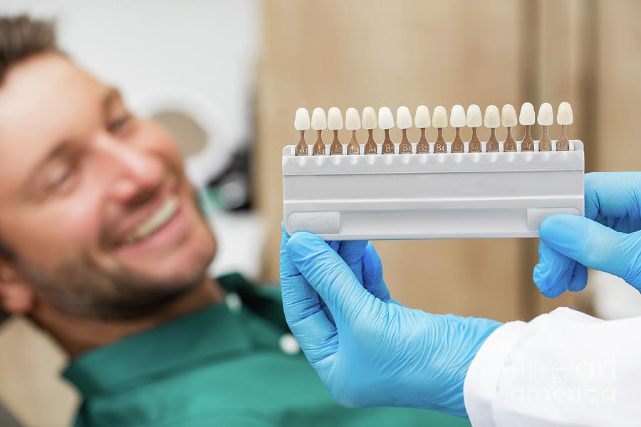 Teeth Whitening Sample Colours #7 Photograph by Peakstock / Science Photo Library
