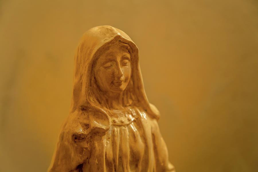 The Blessed Virgin Mary #7 Photograph by Vivida Photo PC