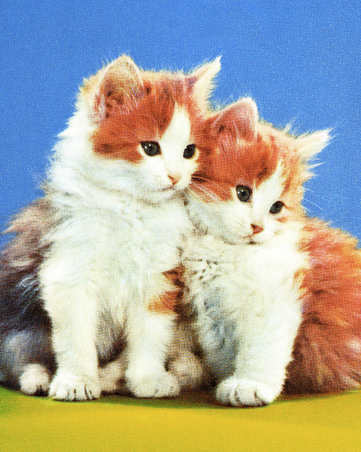 Vintage Drawing - Two Kittens #7 by CSA Images