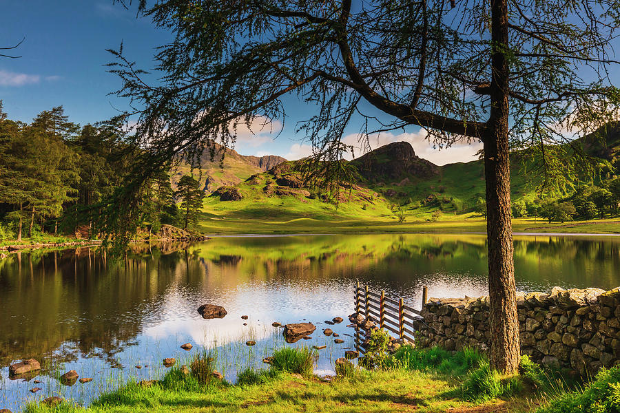 United Kingdom, England, Cumbria, Great Britain, Lake District, British Isles, Blea Tarn, Blea Tarn With The Lake District Peaks In The Background On A Sunny Summer Afternoon #7 Digital Art by Maurizio Rellini