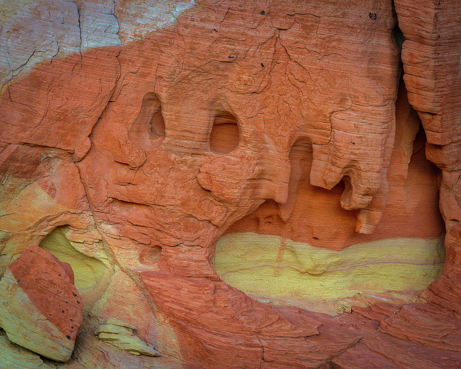 Close-up Photograph - USA, Nevada, Overton, Valley Of Fire #7 by Jaynes Gallery
