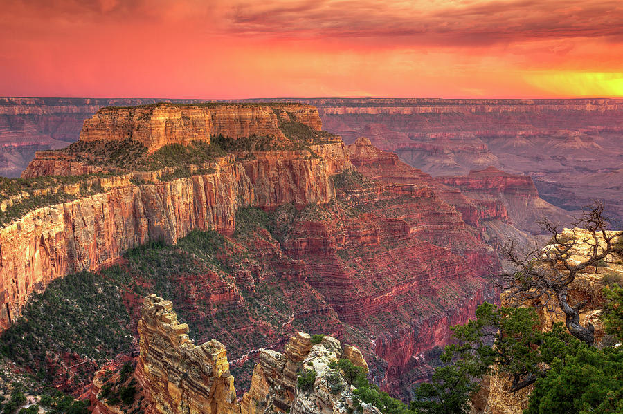 USA, Utah, Grand Canyon National Park Photograph by Michele Falzone