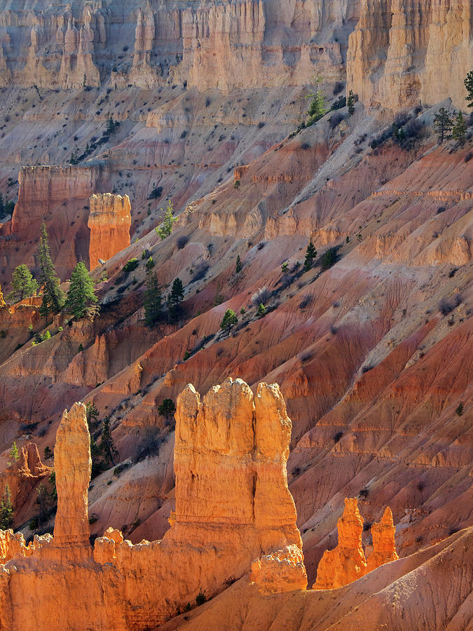 National Parks Photograph - Utah, Bryce Canyon National Park #7 by Jamie and Judy Wild