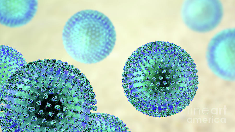 Virus Particles #7 Photograph by Kateryna Kon/science Photo Library